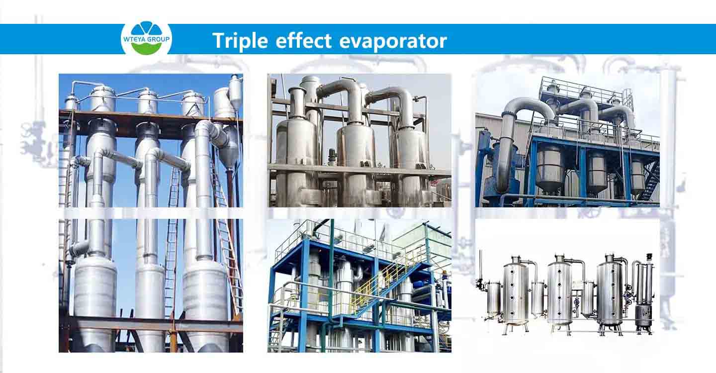 triple effect evaporator